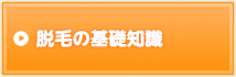 脱毛の基礎知識