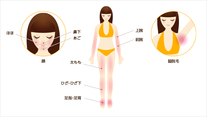 �E�щ\����